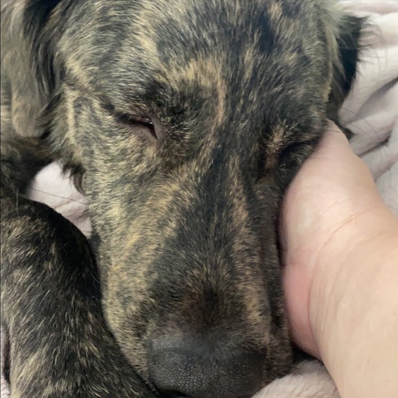 ⚠️Please Read⚠️ - Picture 8 of 8